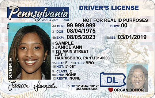Pennsylvania sample license with the words Not for REAL ID purposes.