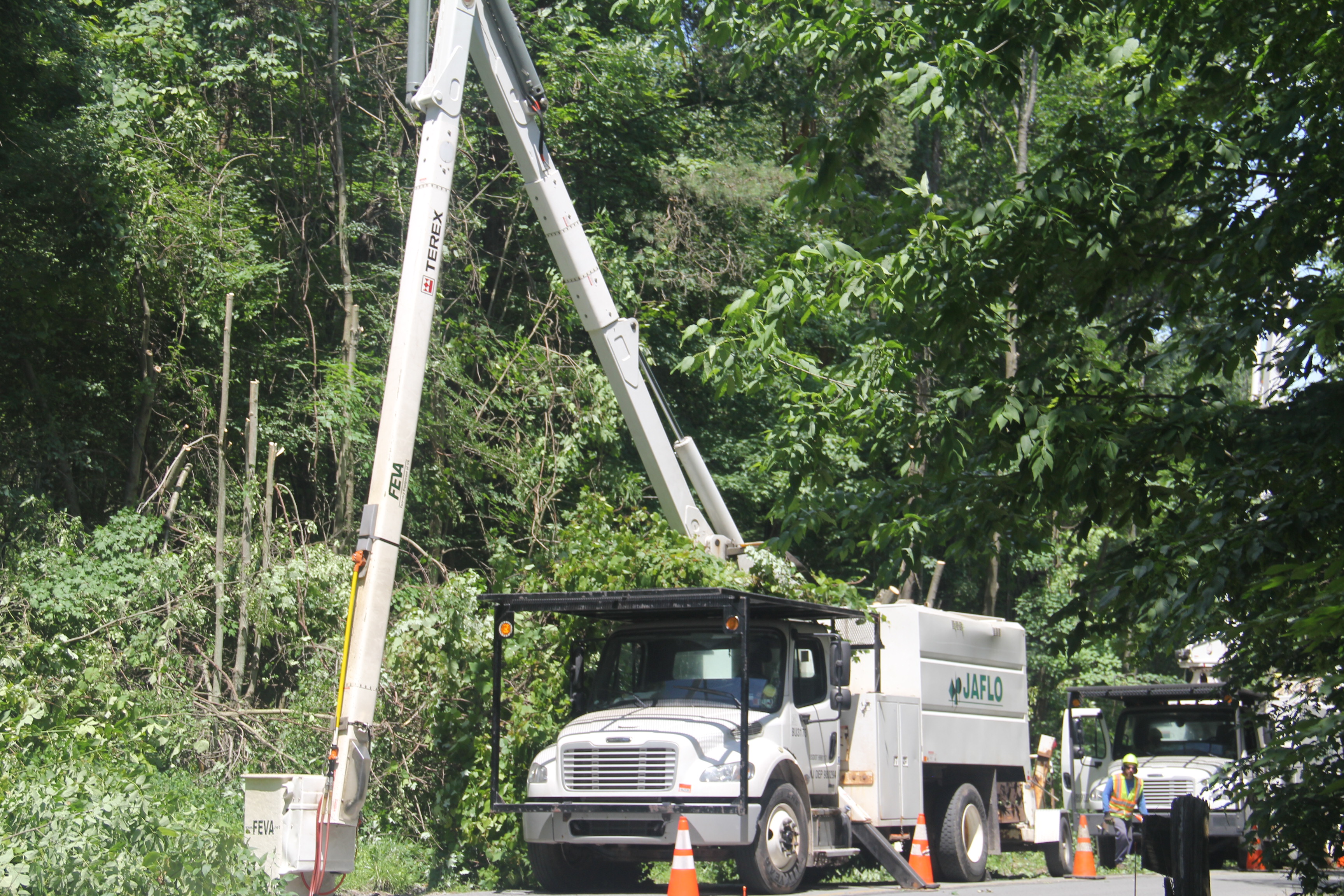 penndot crews trim trees in a process called daylighting