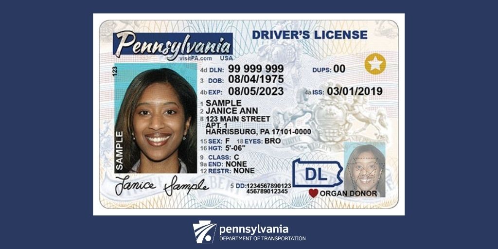 Registry of Motor Vehicles Announces Standard Driver's Licenses