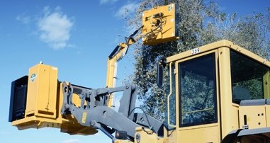 Heavy equipment using a brushing loader attachment to trim a tree along a road.