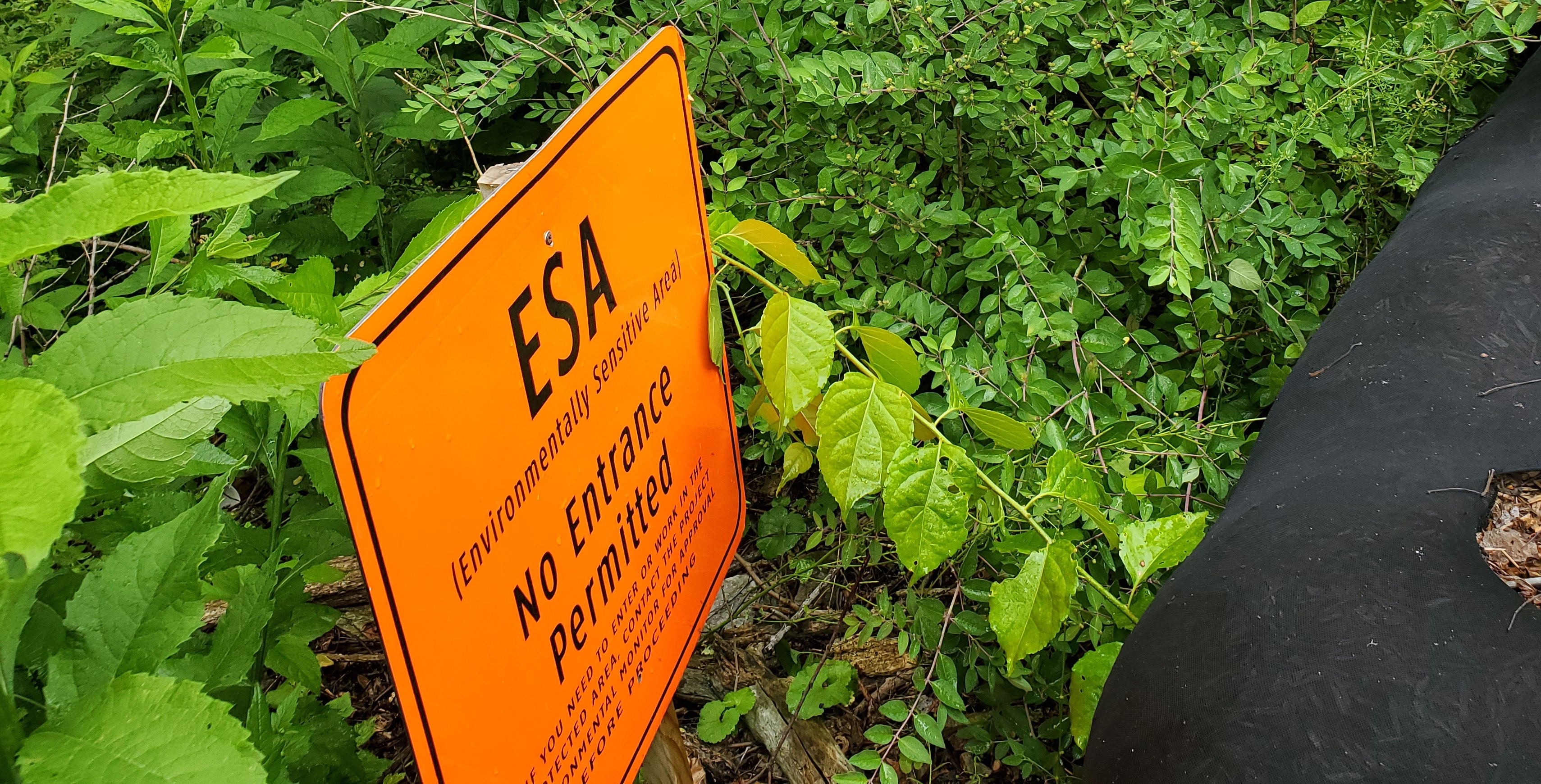 Orange Environmentally Sensitive Area Sign.