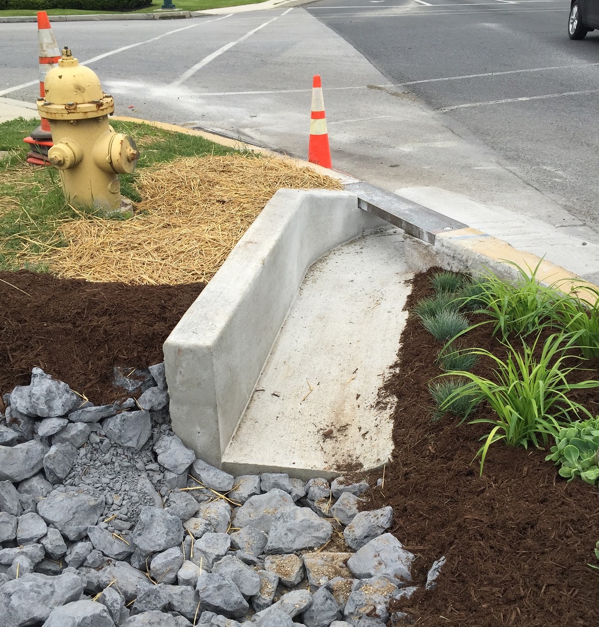 A stormwater control measure along a road helps to protect the environment by giving stormwater a place to easily drain, improving roadway conditions for drivers. 